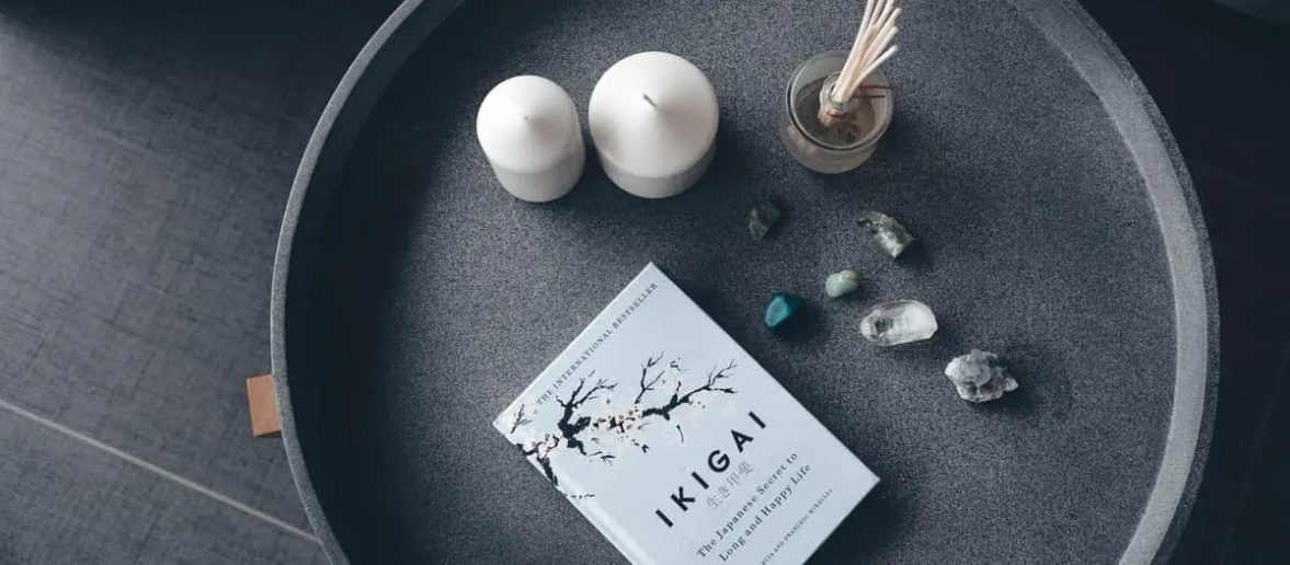 quasi ikigai